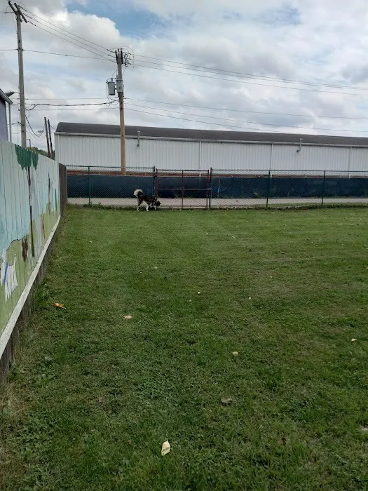 Canine Corral 4