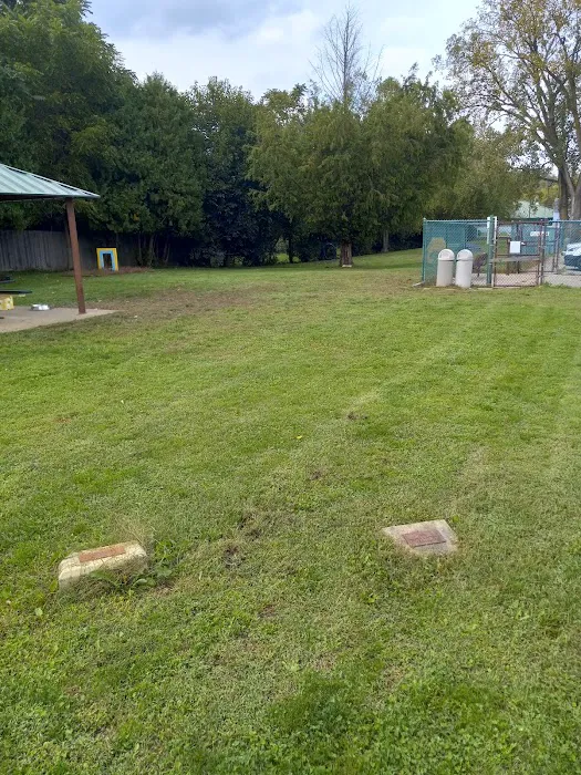 Canine Corral 9