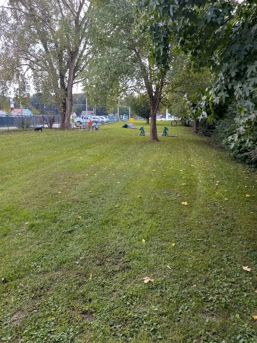 Canine Corral 6