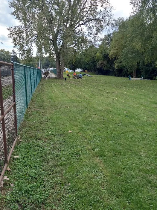 Canine Corral 7