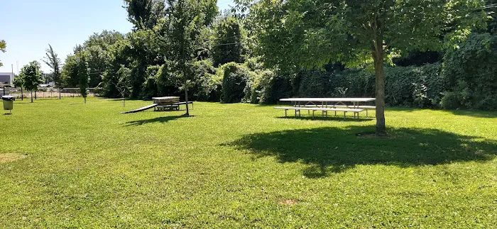Mohr Dog Park 5