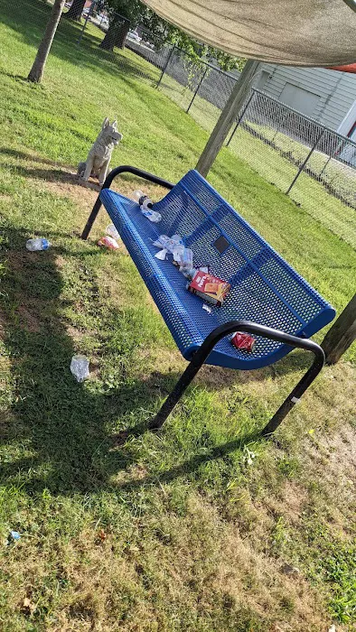 Mohr Dog Park 6