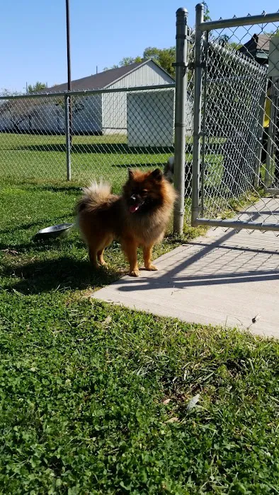 Mehlig Dog Park 10