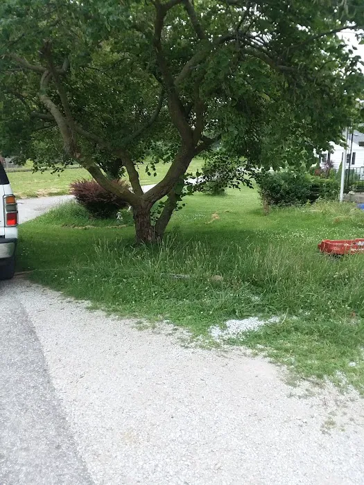 Mehlig Dog Park 6