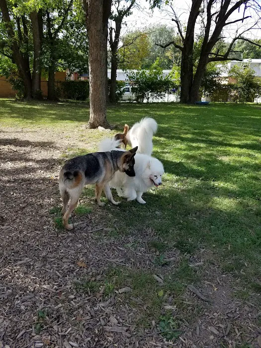 Mehlig Dog Park 4