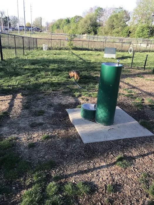 Downtown Dog Park 10