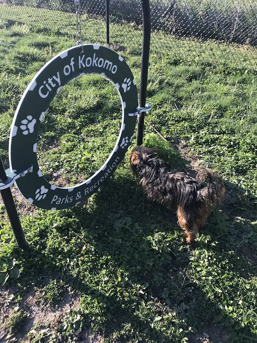 Downtown Dog Park 7