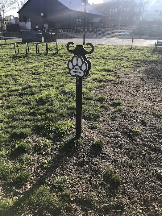 Downtown Dog Park 6