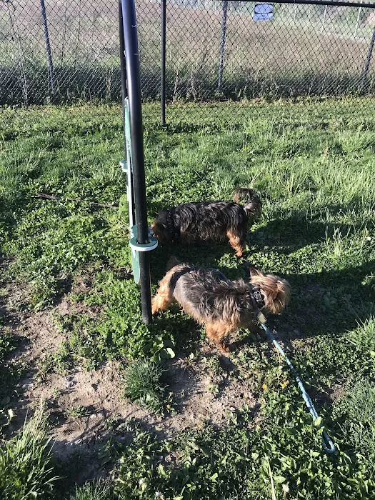 Downtown Dog Park 9