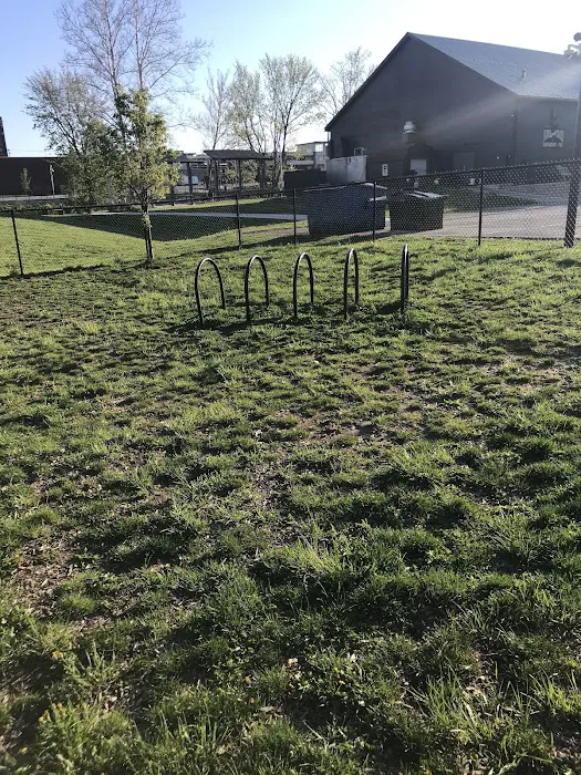Downtown Dog Park 4