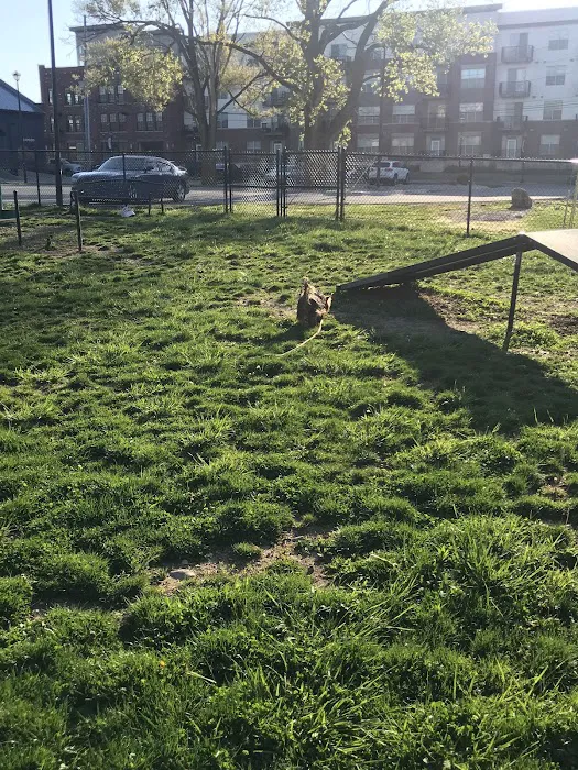 Downtown Dog Park 5