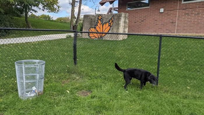 Downtown Dog Park 2