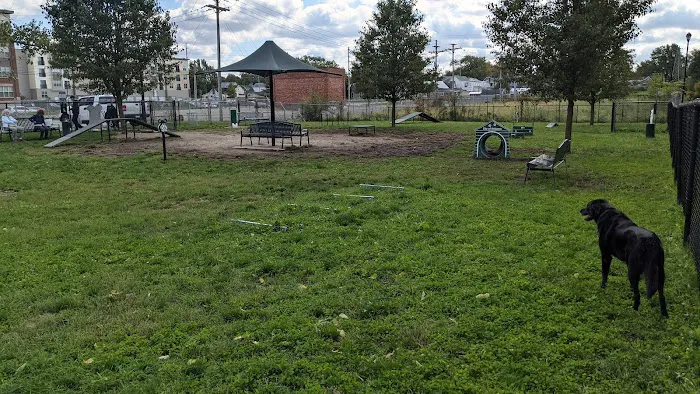 Downtown Dog Park 1