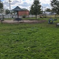 Downtown Dog Park ico