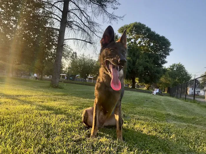 Emerson Dog Park 3