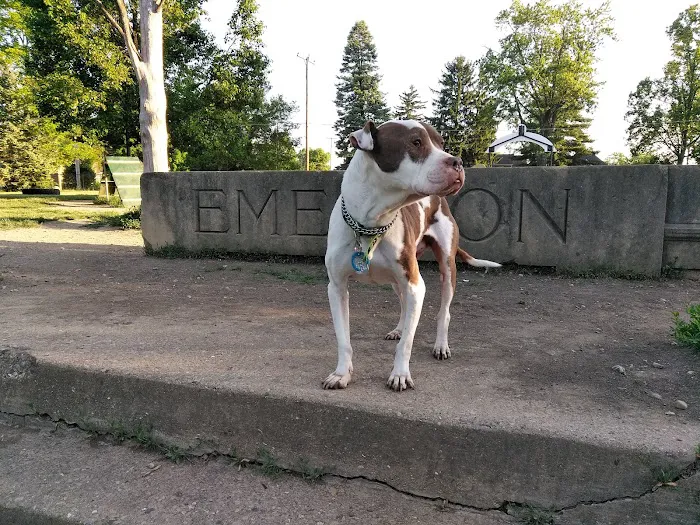 Emerson Dog Park 9