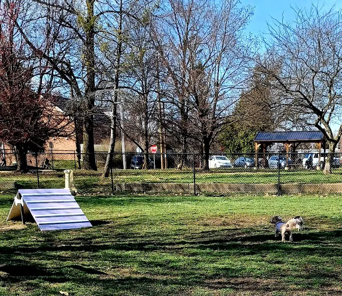 Emerson Dog Park 10
