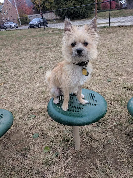 Emerson Dog Park 6
