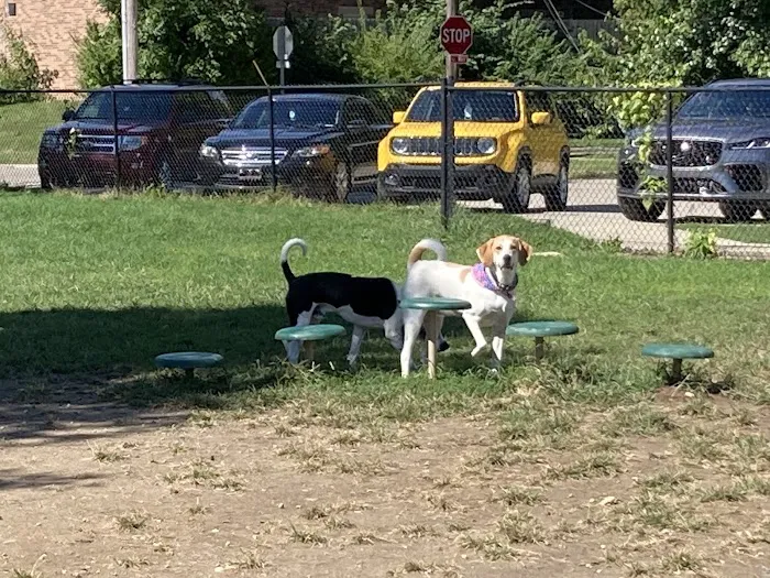 Emerson Dog Park 8