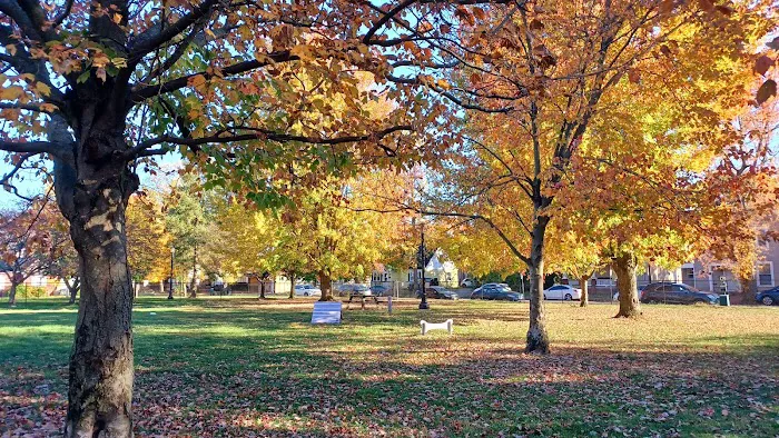 Emerson Dog Park 5