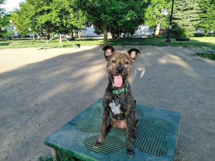 Emerson Dog Park 7