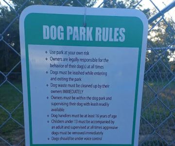 ARF Bark Park