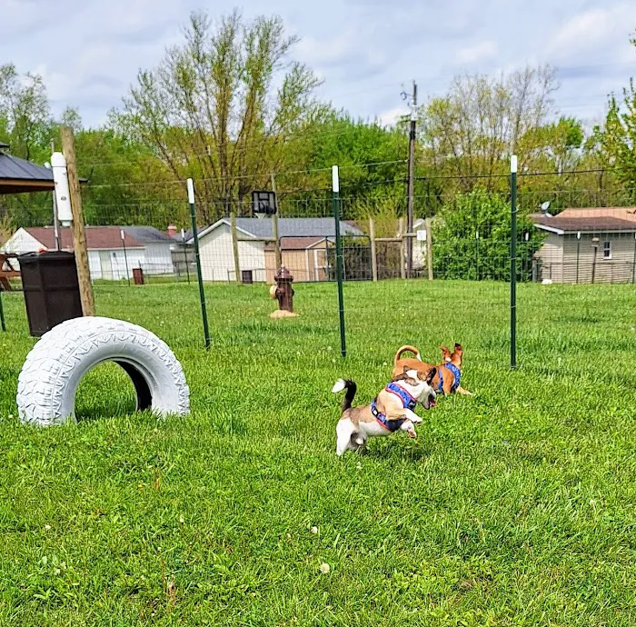 Ultimutt Dog Park 2