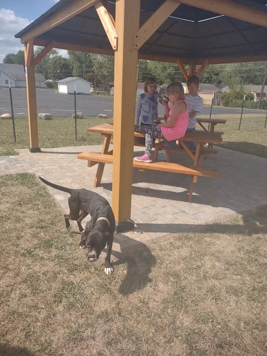 Ultimutt Dog Park 1