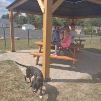 Ultimutt Dog Park ico