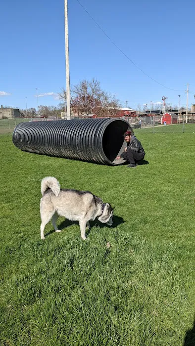 Gas City Dog Park 5