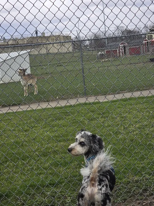 Gas City Dog Park 2