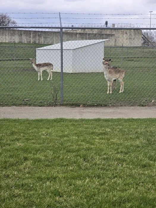 Gas City Dog Park 3