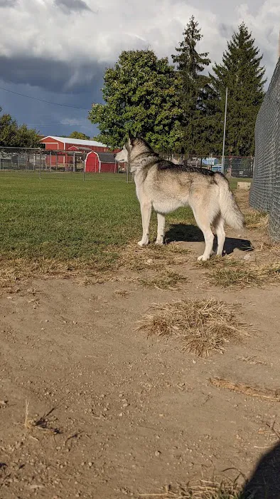 Gas City Dog Park 7