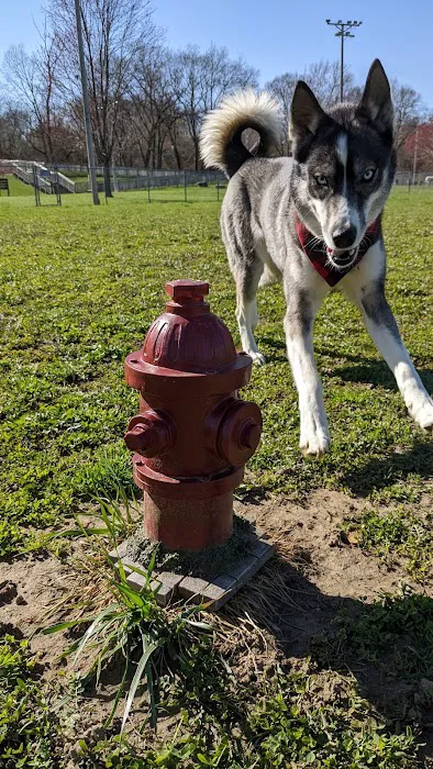 Gas City Dog Park 10