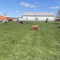 Wabash Dawg Park ico