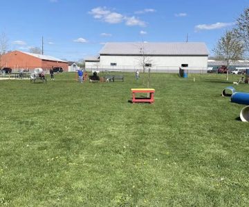 Wabash Dawg Park