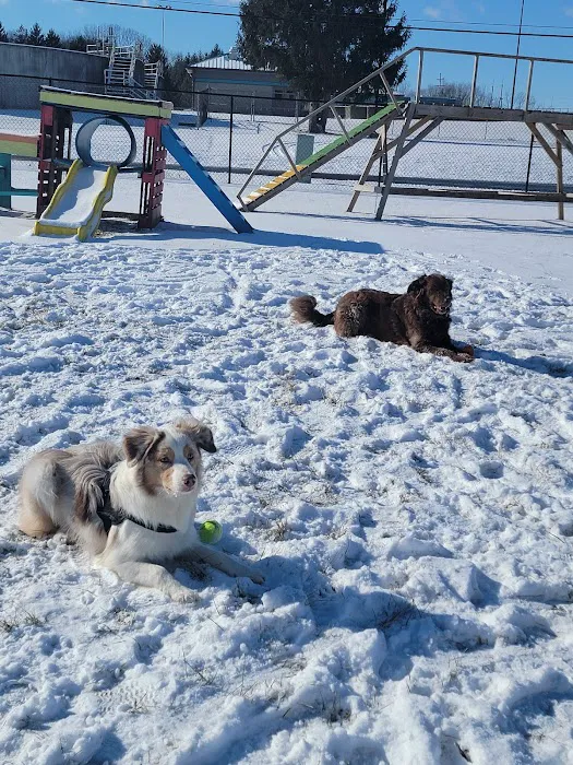 Wabash Dawg Park 9