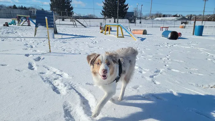 Wabash Dawg Park 8