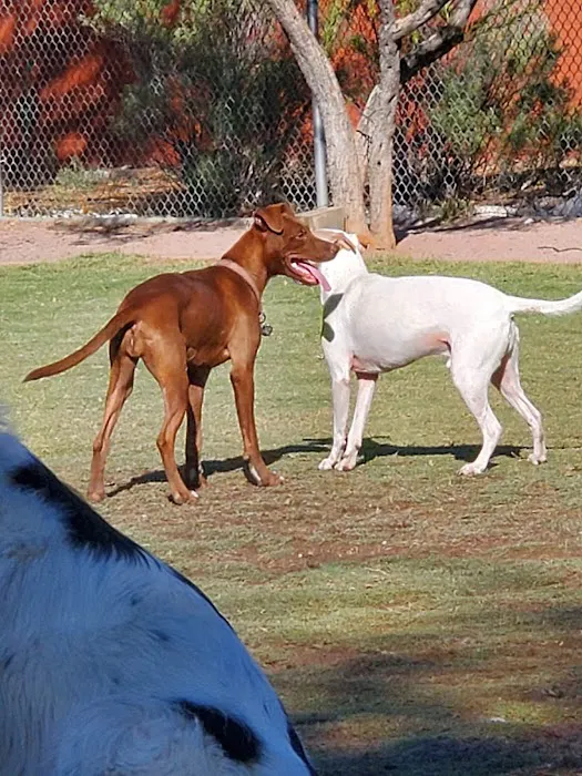 North Sixth Avenue Dog Park 1