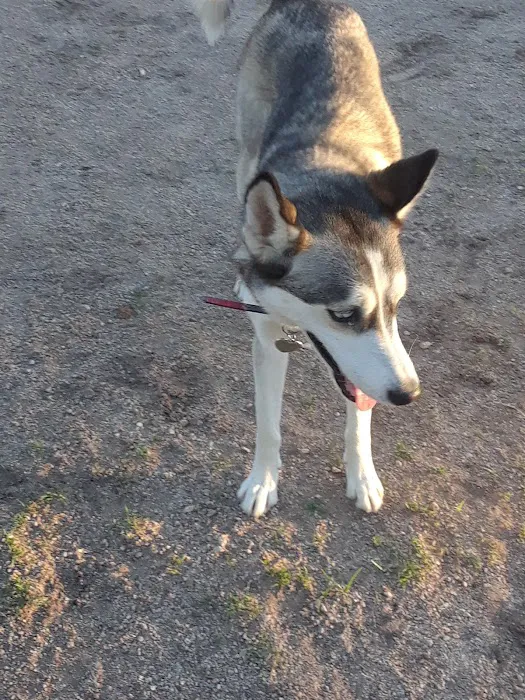 North Sixth Avenue Dog Park 5