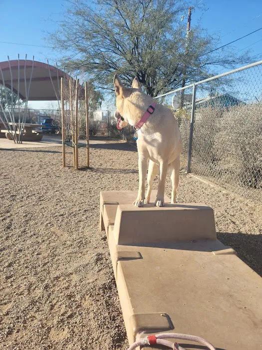 North Sixth Avenue Dog Park 10
