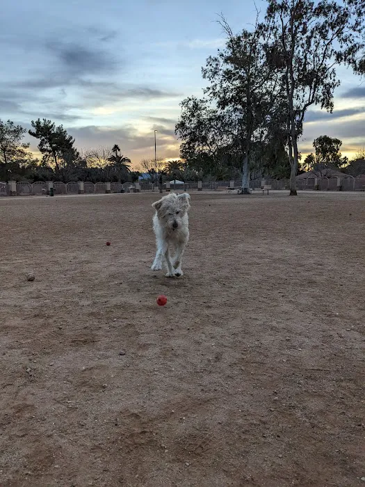 Miko's Corner Playground Dog Park 2