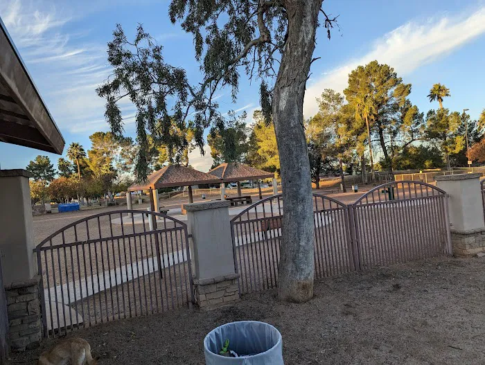 Miko's Corner Playground Dog Park 9