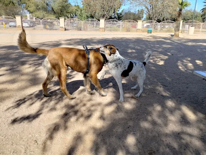 Miko's Corner Playground Dog Park 5