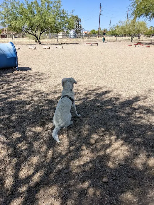 Agave Gulch FamCamp Dog Park 8