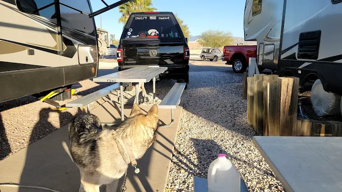 Agave Gulch FamCamp Dog Park 3