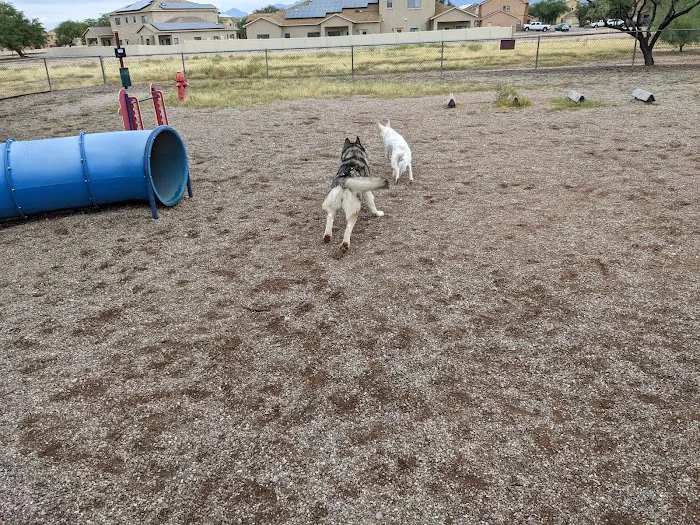Agave Gulch FamCamp Dog Park 4