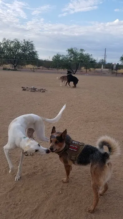 Udall Dog Park 5