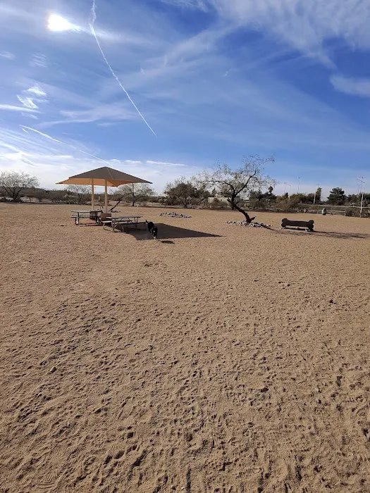 Udall Dog Park 3