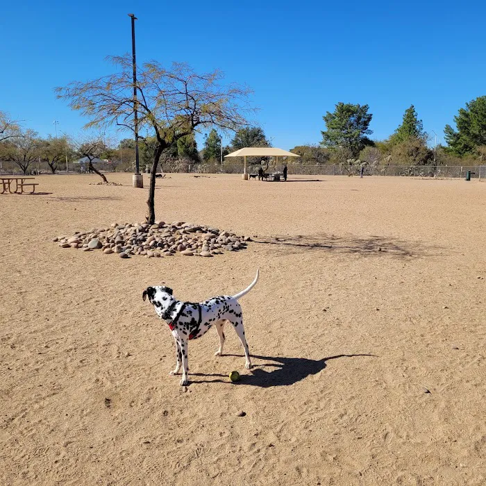 Udall Dog Park 9